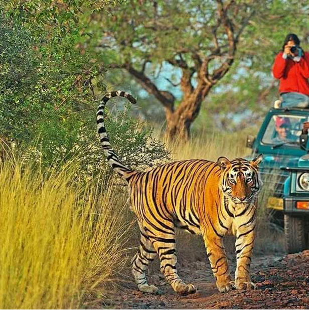 India Explore Tour