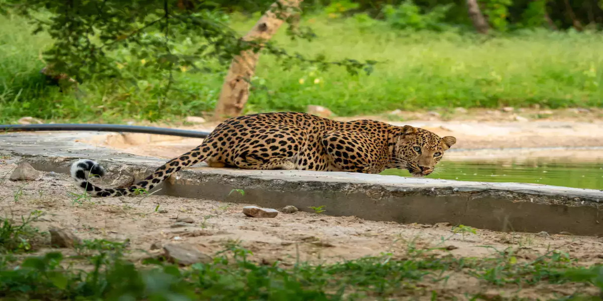 India Explore Tour