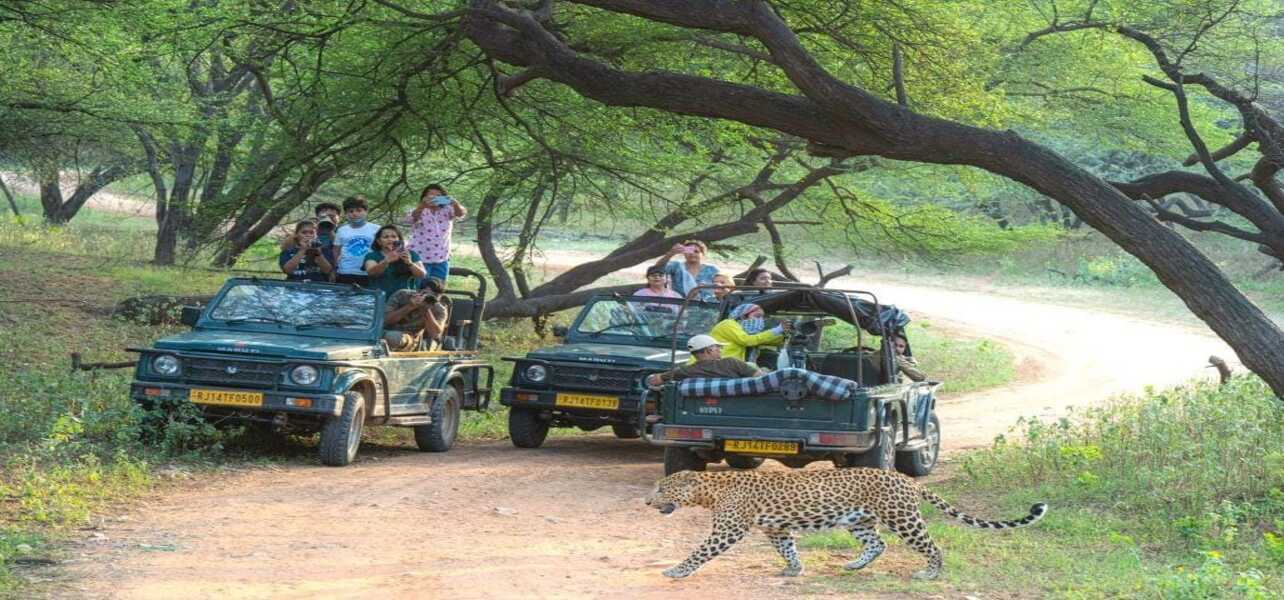 India Explore Tour