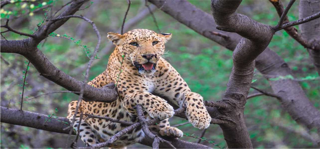India Explore Tour