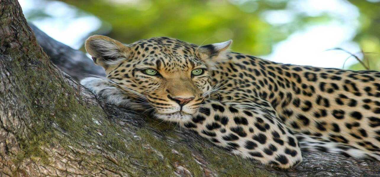 India Explore Tour