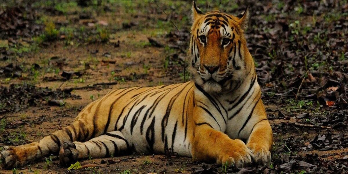 India Explore Tour