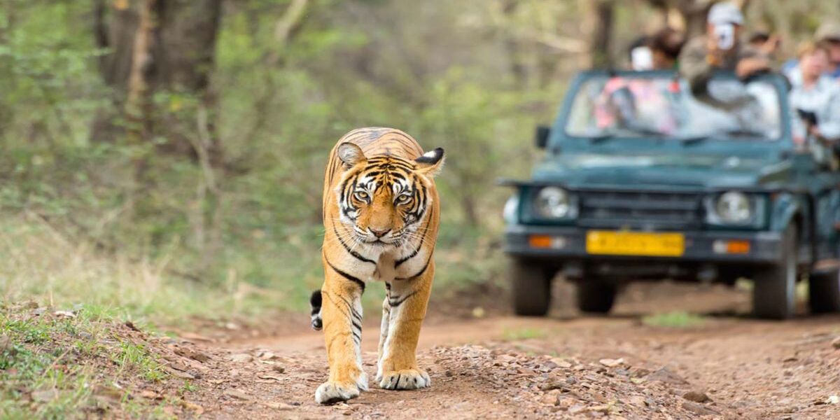 India Explore Tour