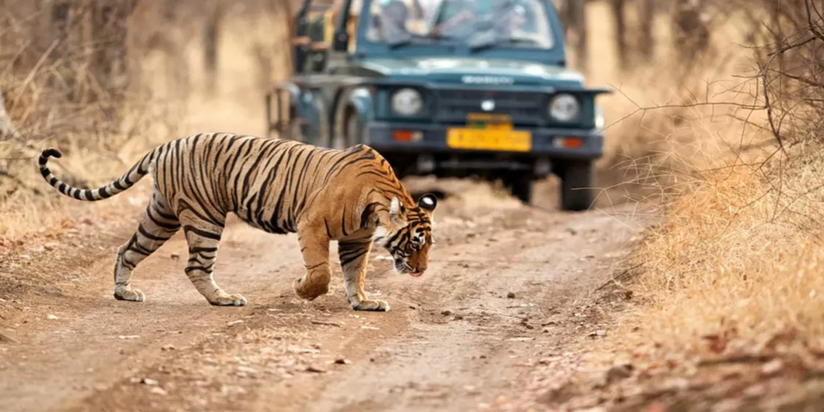 India Explore Tour